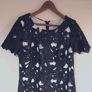 Calvin Klein Lace Dress